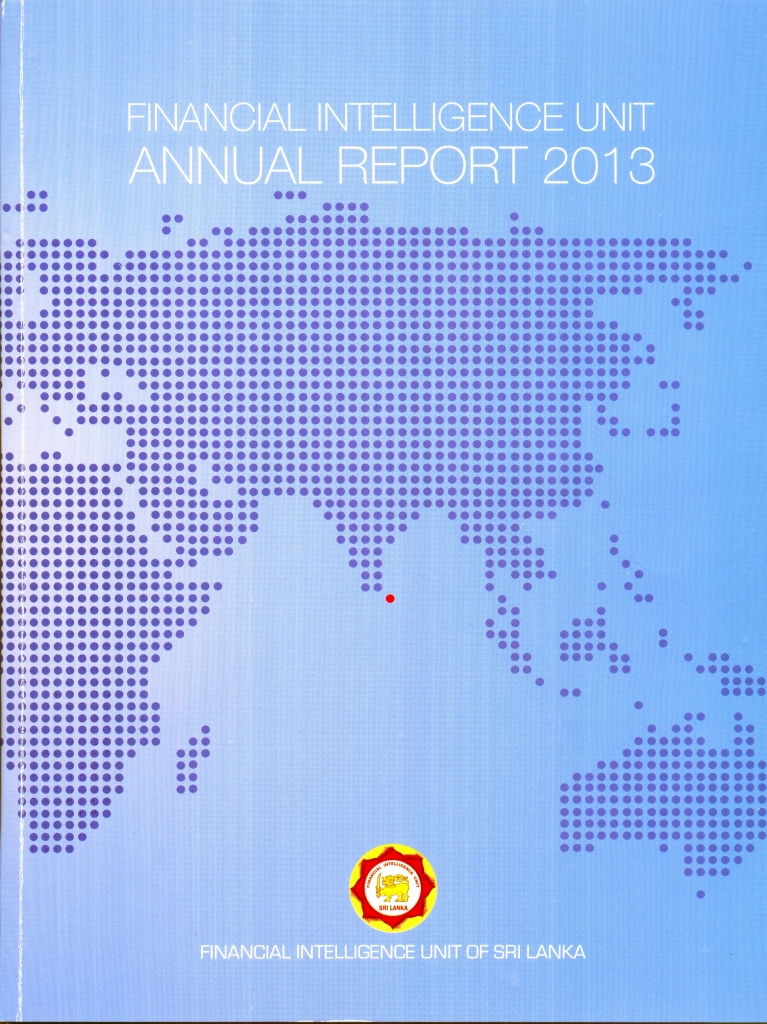 FIU Annual Report 2013