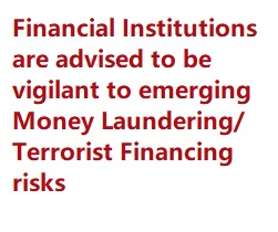 Guidelines on Anti-Money Laundering and Countering the Financing of Terrorism Compliance Obligations for Accountants and Trusts or Company Service Providers, No. 02 of 2020